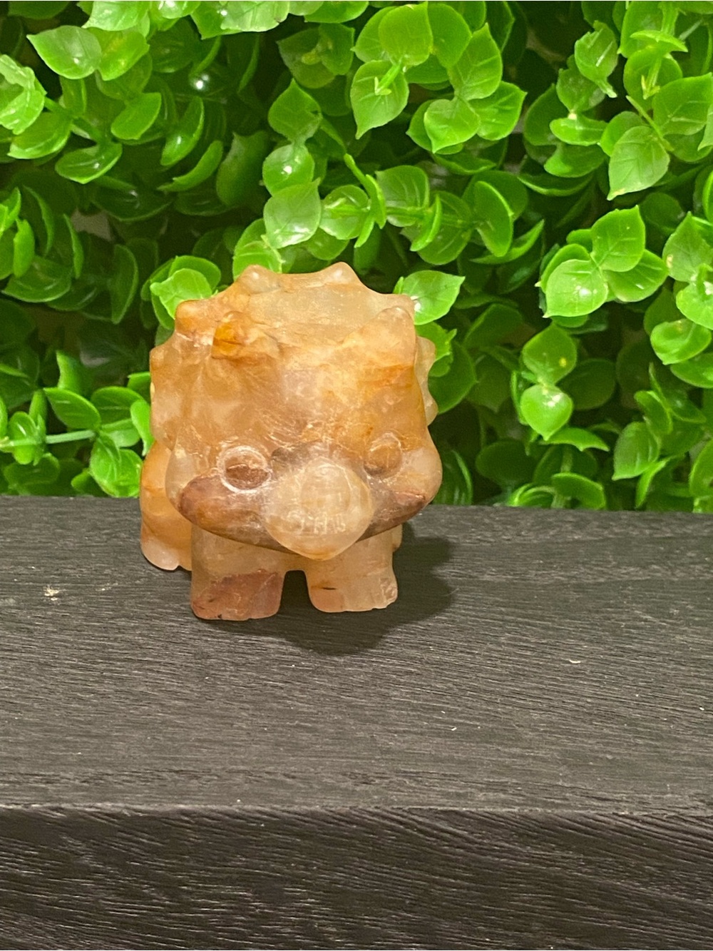 Golden healer Triceratops
